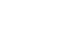 zarlavin-logo-main2